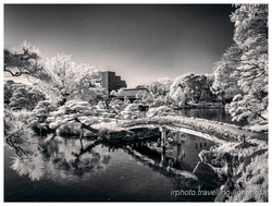Wooden Bridge and Lake, Kiyosumi Garden, Tokyo
